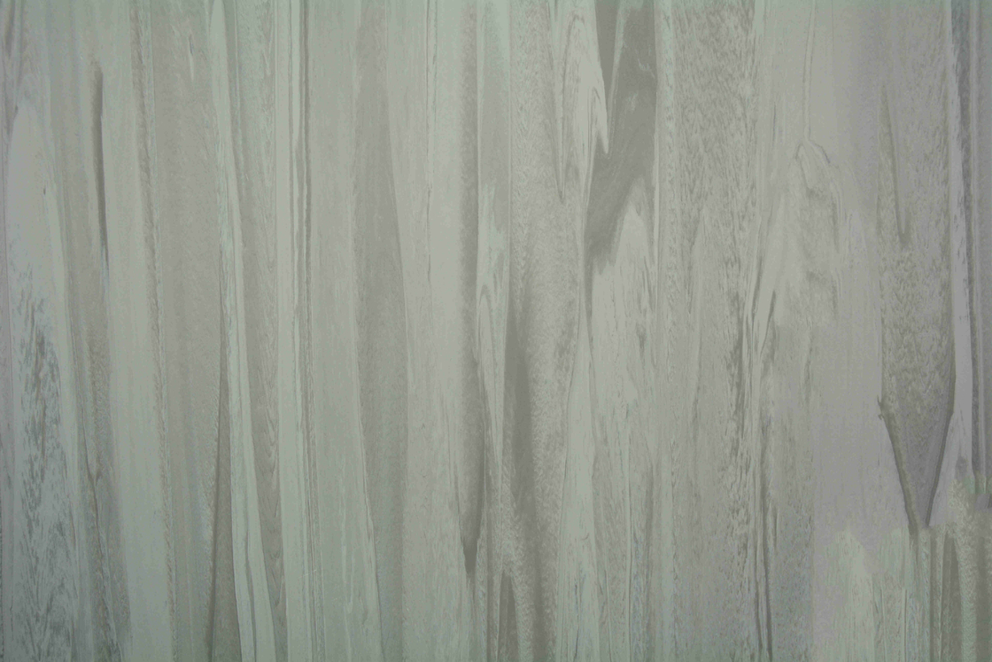 Anti - Skid 2mm Hospital PVC Flooring Commercial Grade Homogeneous Vinyl Roll